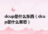 dcup是什么東西（dcup是什么意思）