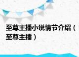 至尊主播小說情節(jié)介紹（至尊主播）