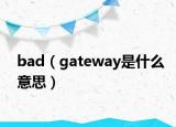 bad（gateway是什么意思）