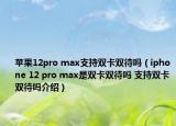 蘋果12pro max支持雙卡雙待嗎（iphone 12 pro max是雙卡雙待嗎 支持雙卡雙待嗎介紹）