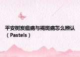 平安樹炭疽病與褐斑病怎么辨認（Pastels）