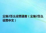 塵埃2怎么設(shè)置語言（塵埃2怎么設(shè)置中文）