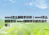 word怎么刪除索引項(xiàng)（word怎么刪除索引 word刪除索引的方法介紹）