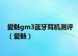 愛魅gm3藍牙耳機測評（愛魅）