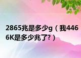 2865兆是多少g（我4466K是多少兆了?）