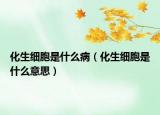 化生細(xì)胞是什么?。ɑ?xì)胞是什么意思）