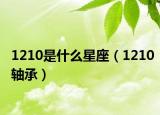 1210是什么星座（1210軸承）