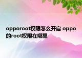 opporoot權(quán)限怎么開(kāi)啟 oppo的root權(quán)限在哪里