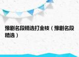 豫劇名段精選打金枝（豫劇名段精選）