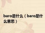 baro是什么（baro是什么意思）