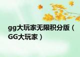 gg大玩家無(wú)限積分版（GG大玩家）