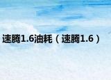 速騰1.6油耗（速騰1.6）