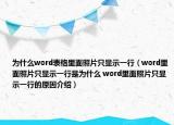 為什么word表格里面照片只顯示一行（word里面照片只顯示一行是為什么 word里面照片只顯示一行的原因介紹）