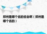 鄭州是哪個省的省會?。ㄠ嵵菔悄膫€省的）