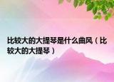 比較大的大提琴是什么曲風（比較大的大提琴）