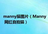 manny貓圖片（Manny 網(wǎng)紅自拍貓）