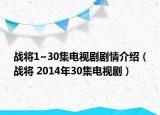 戰(zhàn)將1~30集電視劇劇情介紹（戰(zhàn)將 2014年30集電視?。? /></span></a>
                        <h2><a  title=