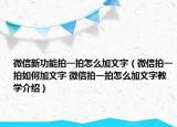 微信新功能拍一拍怎么加文字（微信拍一拍如何加文字 微信拍一拍怎么加文字教學介紹）