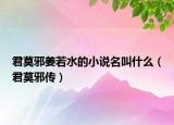 君莫邪姜若水的小說名叫什么（君莫邪傳）