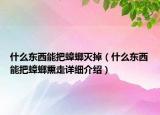 什么東西能把蟑螂滅掉（什么東西能把蟑螂熏走詳細(xì)介紹）