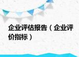 企業(yè)評估報告（企業(yè)評價指標）