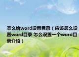 怎么給word設(shè)置目錄（應(yīng)該怎么設(shè)置word目錄 怎么設(shè)置一個word目錄介紹）