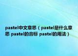 pastel中文意思（pastel是什么意思 pastel的音標 pastel的用法）