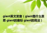 giant英文發(fā)音（giant是什么意思 giant的音標(biāo) giant的用法）