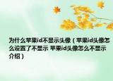 為什么蘋果id不顯示頭像（蘋果id頭像怎么設(shè)置了不顯示 蘋果id頭像怎么不顯示介紹）