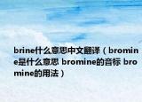 brine什么意思中文翻譯（bromine是什么意思 bromine的音標(biāo) bromine的用法）