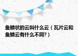 魚鱗狀的云叫什么云（瓦片云和魚鱗云有什么不同?）