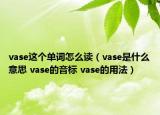 vase這個單詞怎么讀（vase是什么意思 vase的音標(biāo) vase的用法）