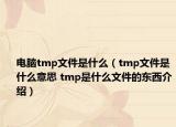 電腦tmp文件是什么（tmp文件是什么意思 tmp是什么文件的東西介紹）