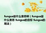 fungus是什么意思?。╢ungus是什么意思 fungus的音標 fungus的用法）