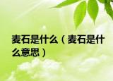 麥?zhǔn)鞘裁矗準(zhǔn)鞘裁匆馑迹? /></span></a>
                        <h2><a href=