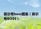 賽爾號(hào)boss圖鑒（賽爾號(hào)BOSS）