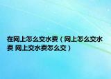 在網(wǎng)上怎么交水費(fèi)（網(wǎng)上怎么交水費(fèi) 網(wǎng)上交水費(fèi)怎么交）