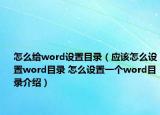 怎么給word設(shè)置目錄（應(yīng)該怎么設(shè)置word目錄 怎么設(shè)置一個word目錄介紹）