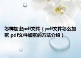 怎樣加密pdf文件（pdf文件怎么加密 pdf文件加密的方法介紹）