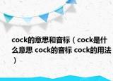 cock的意思和音標（cock是什么意思 cock的音標 cock的用法）