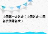 中國(guó)第一大名犬（中國(guó)名犬 中國(guó)名貴優(yōu)秀名犬）