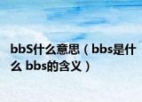 bbS什么意思（bbs是什么 bbs的含義）