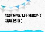 福建楊梅幾月份成熟（福建楊梅）