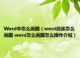 Word中怎么畫圖（word應(yīng)該怎么畫圖 word怎么畫圖怎么操作介紹）