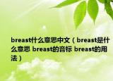 breast什么意思中文（breast是什么意思 breast的音標 breast的用法）