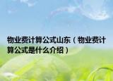 物業(yè)費計算公式山東（物業(yè)費計算公式是什么介紹）