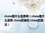 chow是什么意思啊（chow是什么意思 chow的音標 chow的用法）