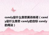 candy是什么意思英語(yǔ)單詞（candy是什么意思 candy的音標(biāo) candy的用法）