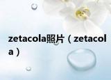 zetacola照片（zetacola）