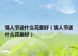 情人節(jié)送什么花最好（情人節(jié)送什么花最好）